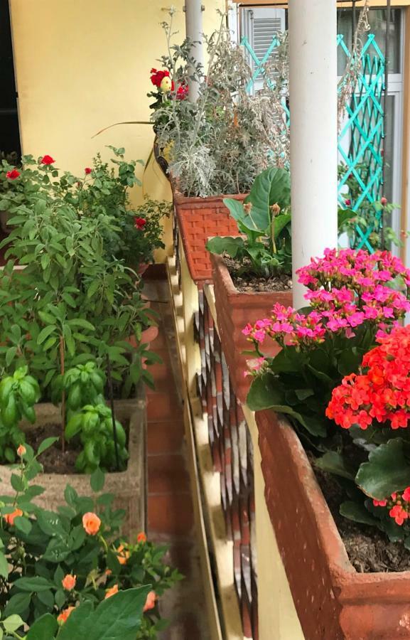Casa Di Nonna Bed & Breakfast Vercelli Eksteriør bilde