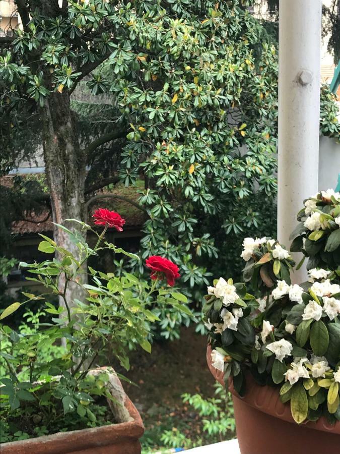 Casa Di Nonna Bed & Breakfast Vercelli Eksteriør bilde
