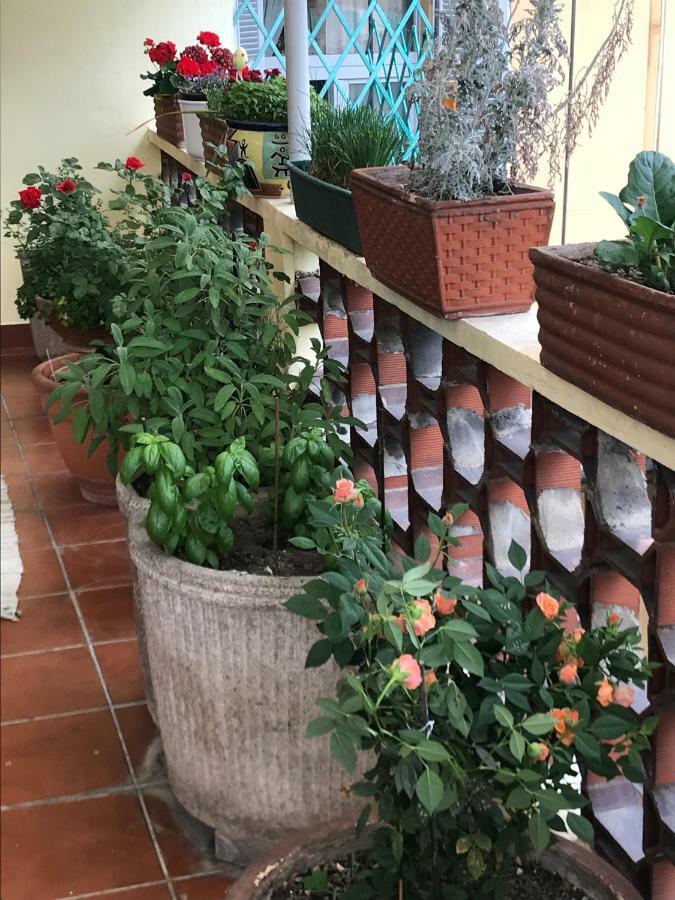 Casa Di Nonna Bed & Breakfast Vercelli Eksteriør bilde